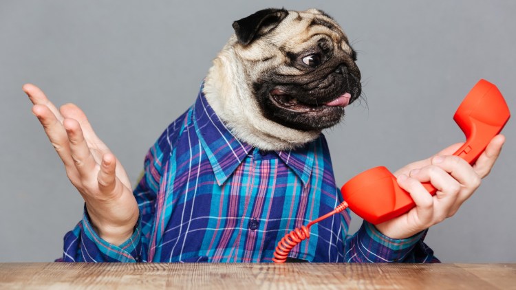 Человек с собакой на руках