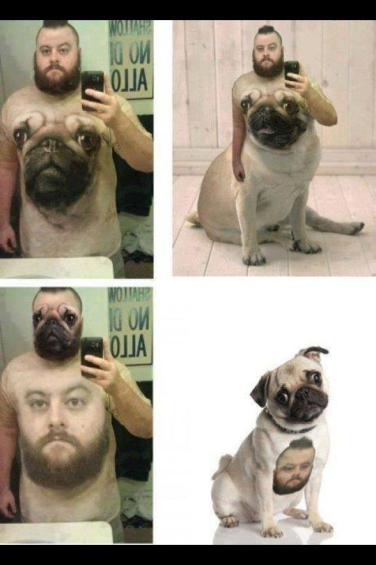 Мужчина с мопсом