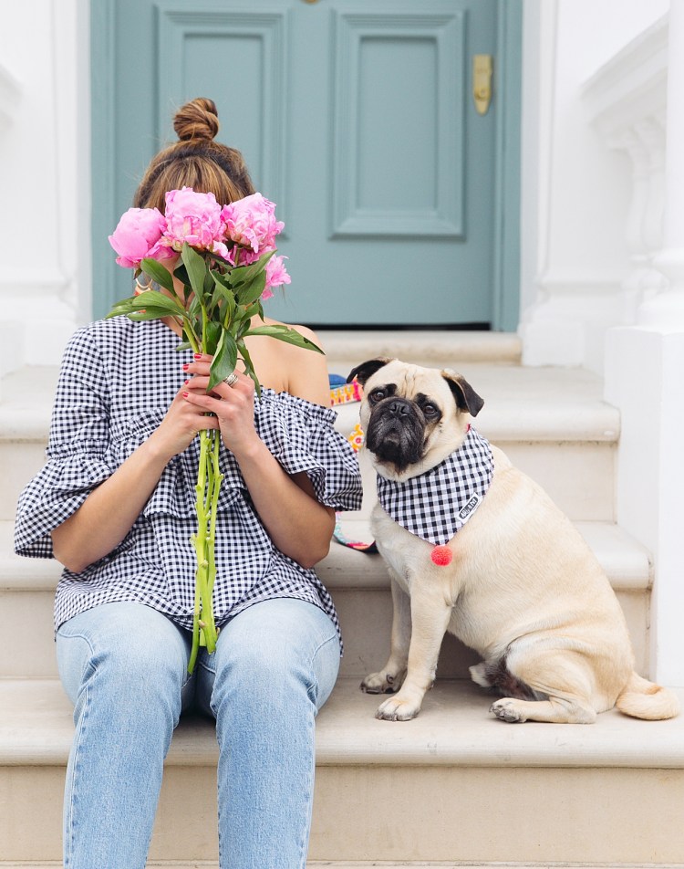 Человек Мопс