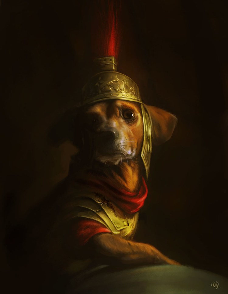 Кане Корсо в гладиаторских боях