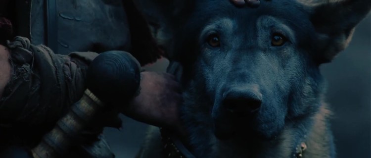 Собака Гладиатор 2000