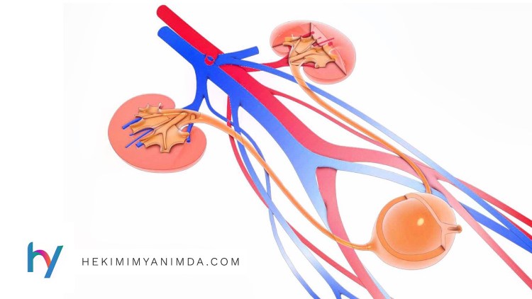 Вышел маленький камушек синего цвета с мочой