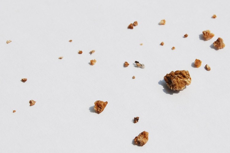 Мочекаменная болезнь мкб у кота