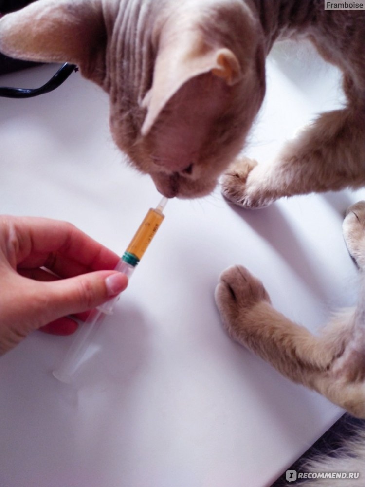 Мочекаменная болезнь фосфатные камни