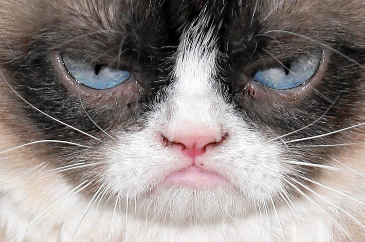 Хмурая рожа