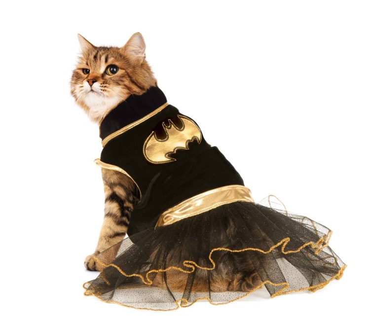 Кошка принцесса