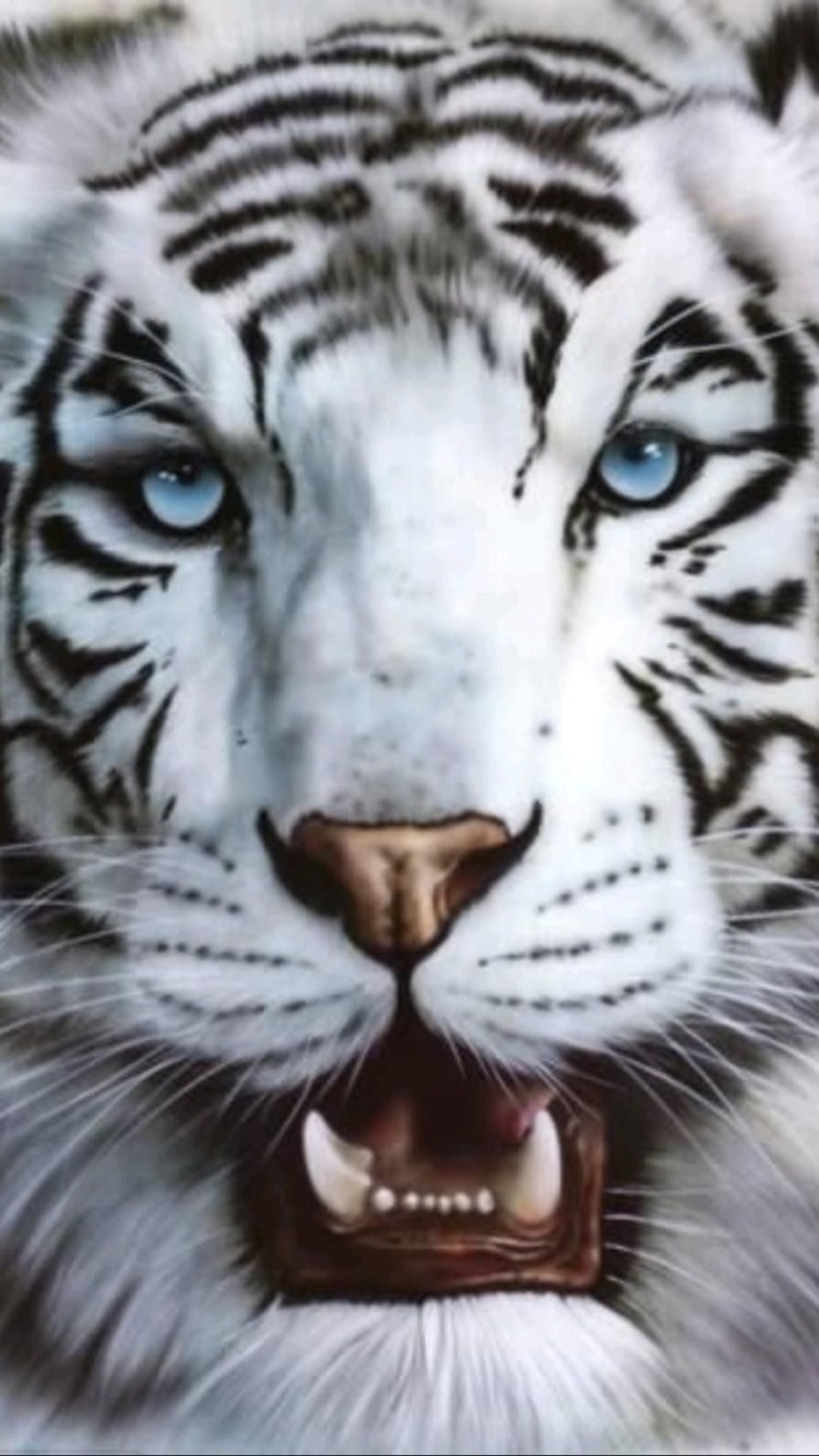 Тигр с зелеными глазами