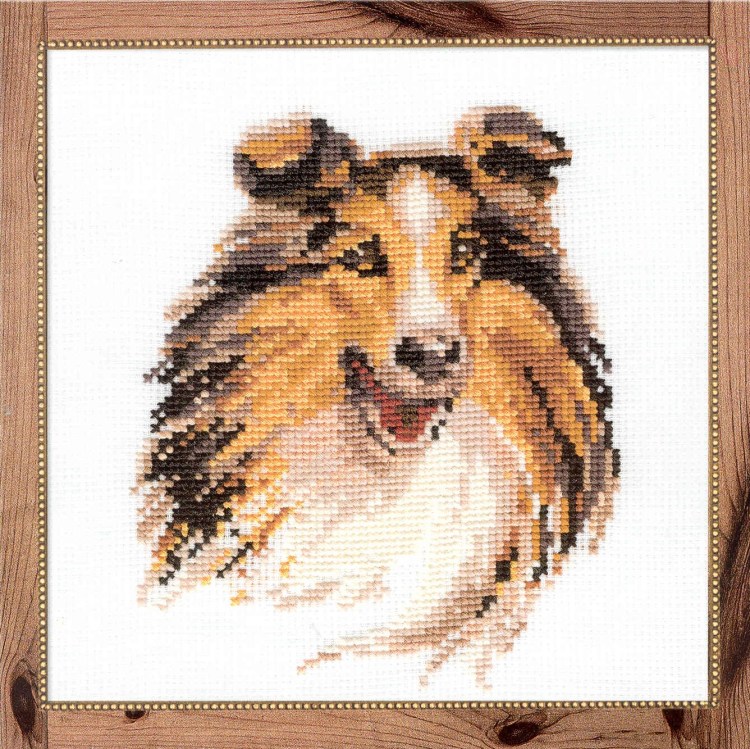 Лабрадор ретривер