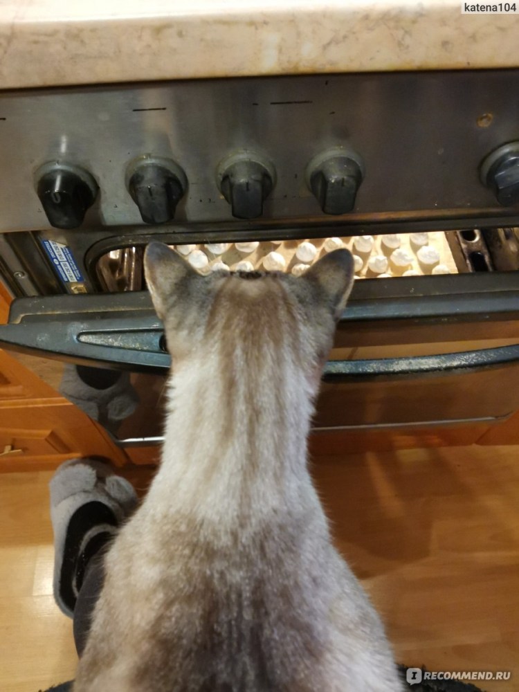 Параанальные железы у собак