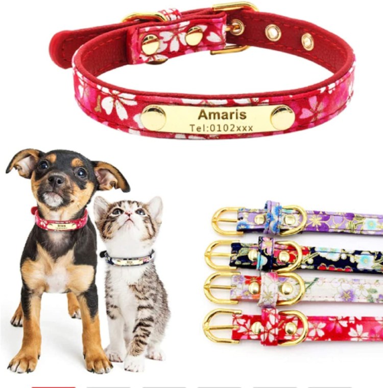 Поводок для чихуахуа