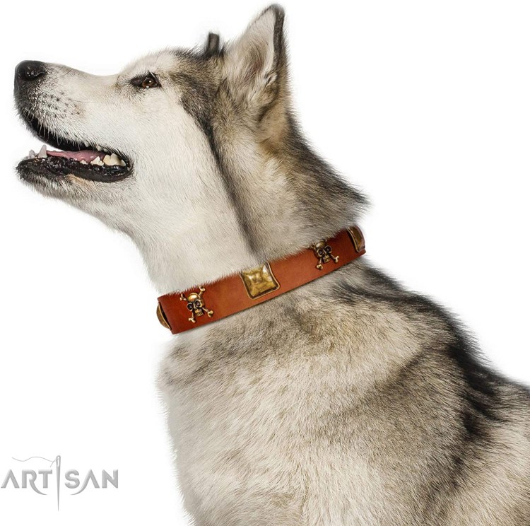 19485 Trixie защитный воротник д44-50/25см