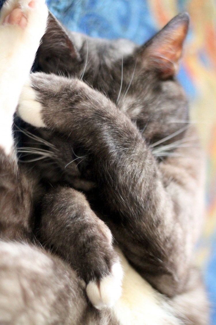 Стыдно картинки