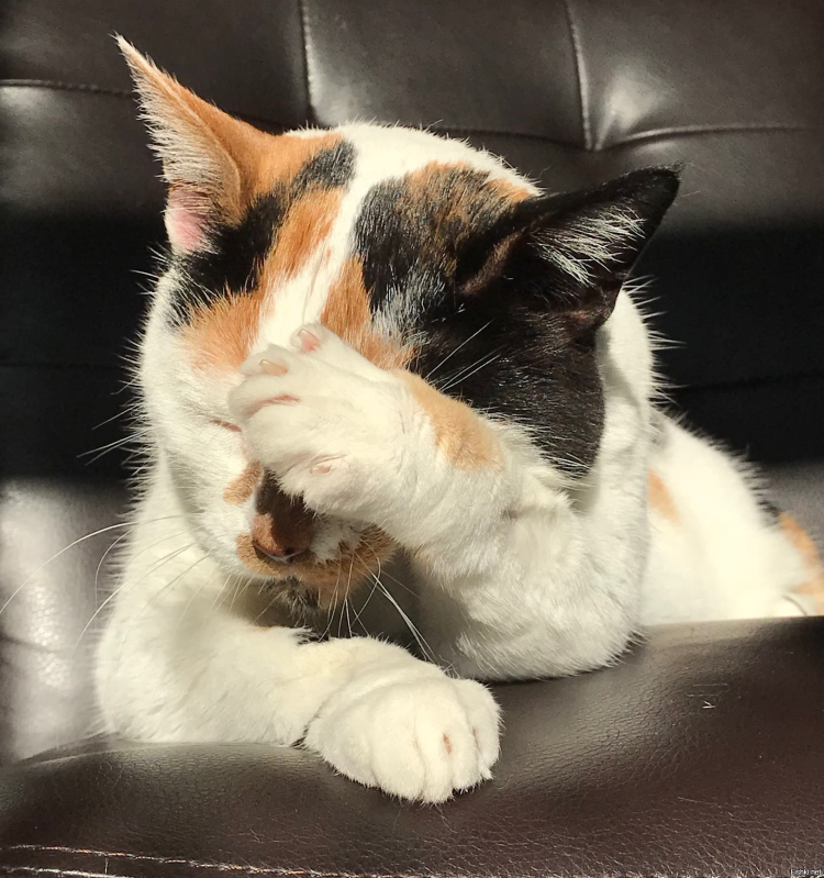 Улыбчивый британец