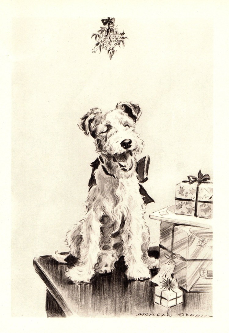 Фокстерьер тату