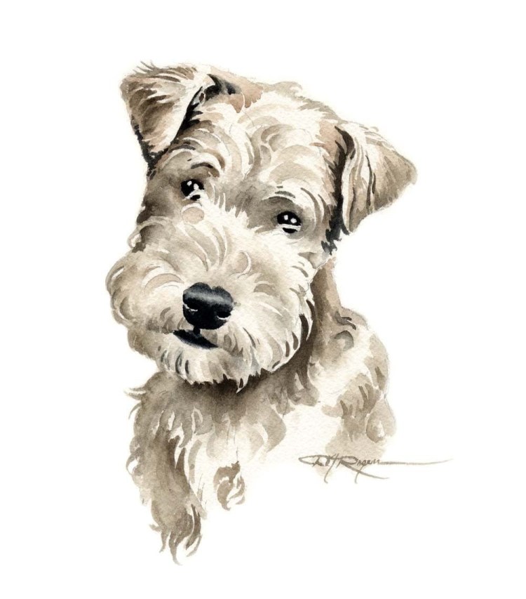 Фокстерьер жесткошерстный щенок портрет