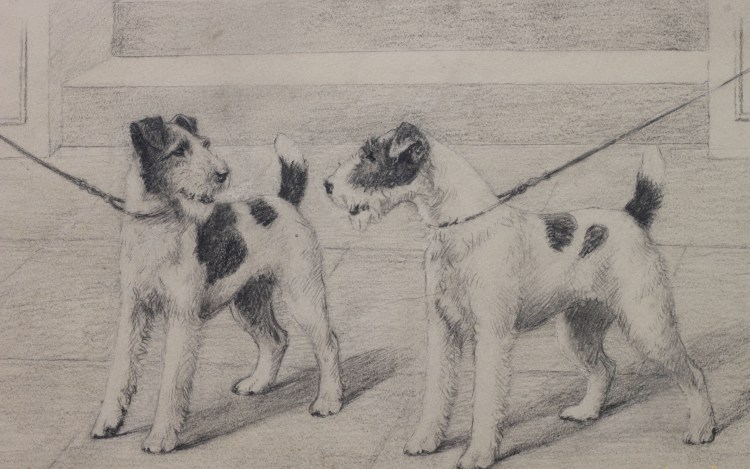 Фокстерьер жесткошерстный силуэт