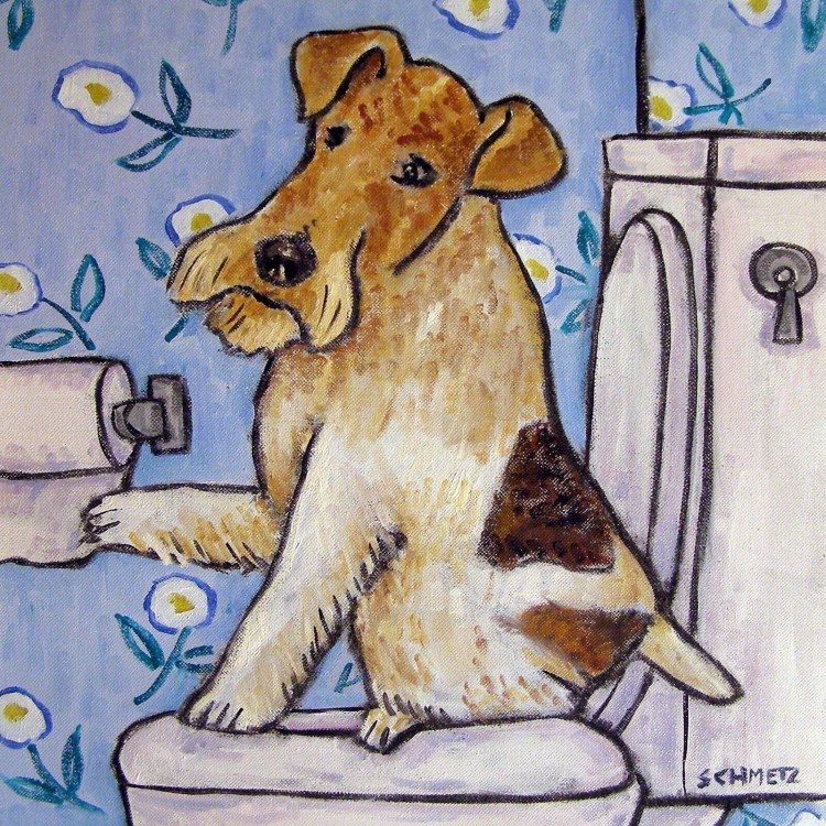 Фокстерьер гладкошерстный