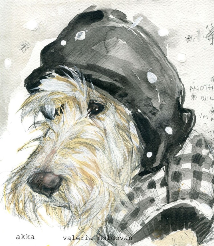 Джек Рассел терьер рисунок