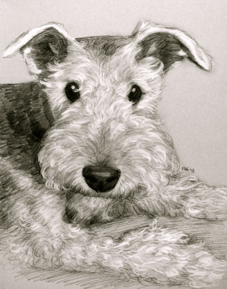 Фокстерьер портрет