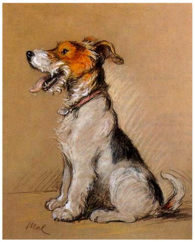 Раскраска собака Фокстерьер