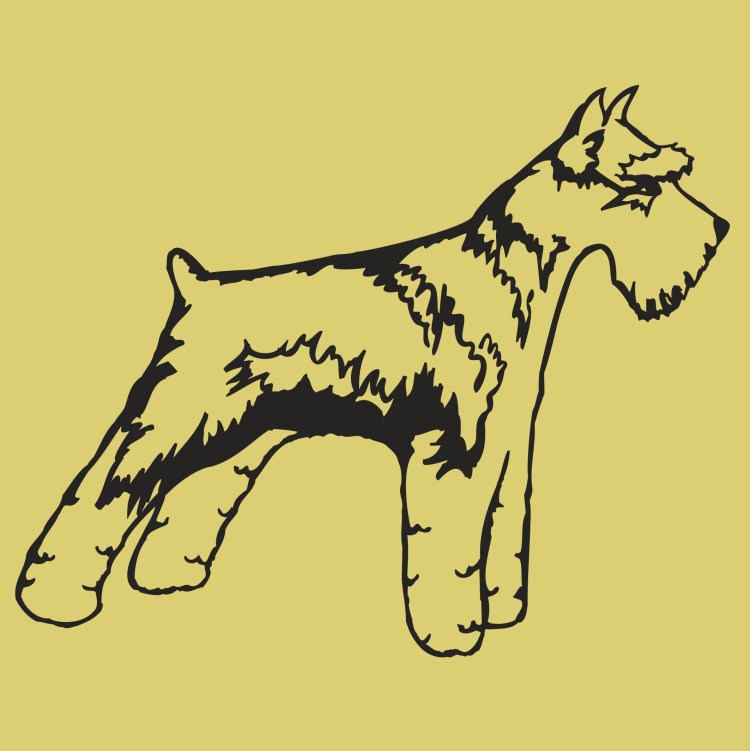 Раскраска Вельштерьер