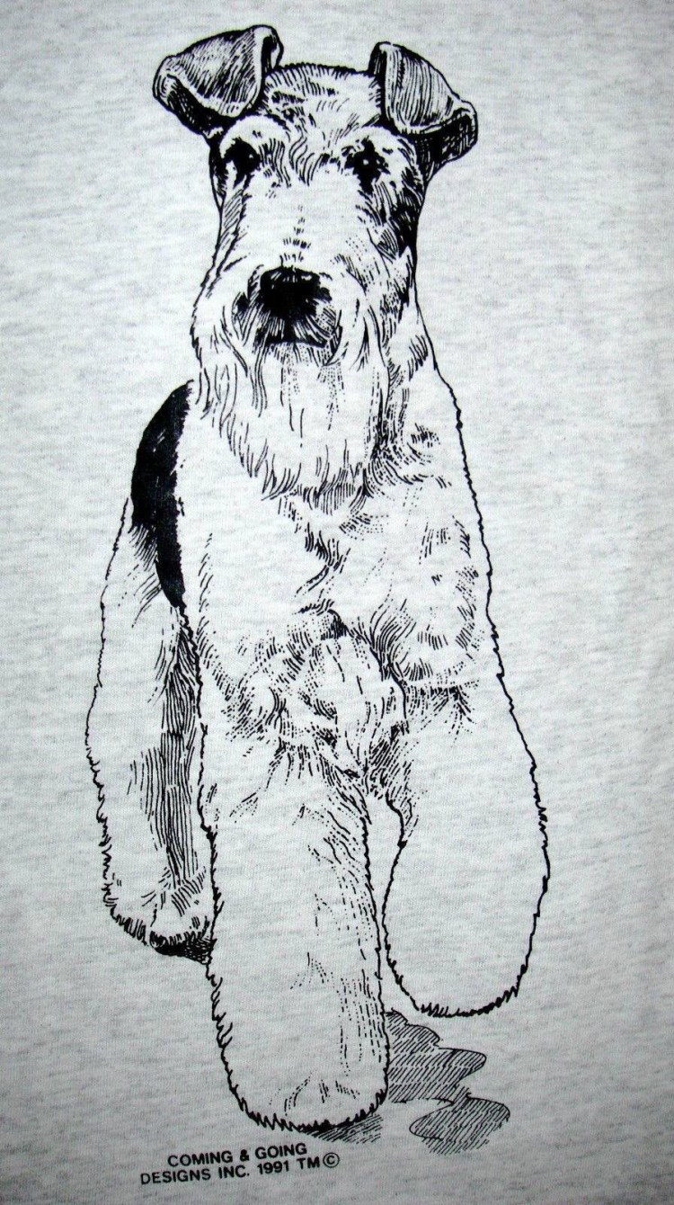 Парсон-Рассел-терьер арт