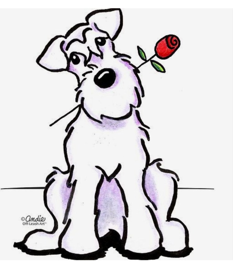 Портрет ирландского терьера