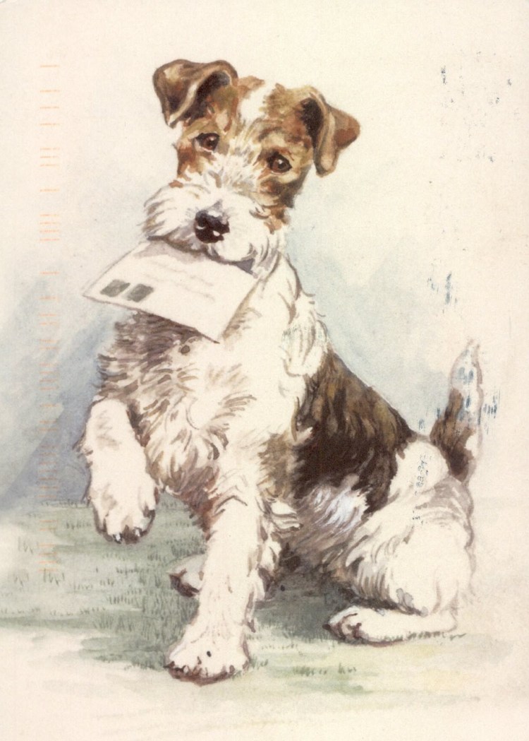 Собака в кепке рисунок