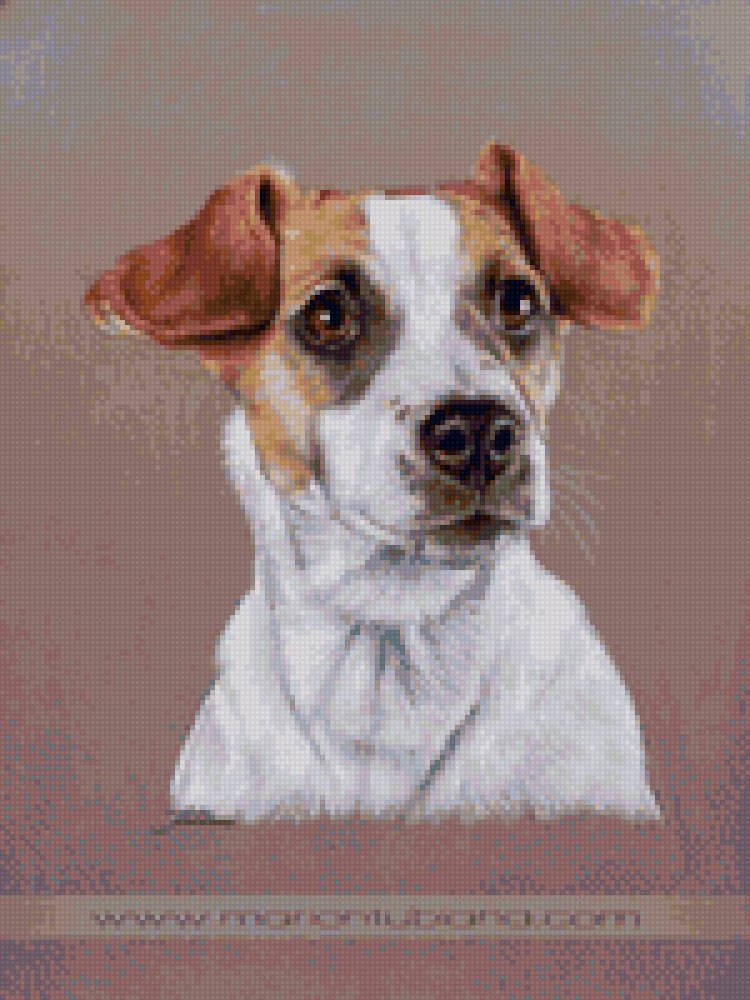 Шнауцер с цветами