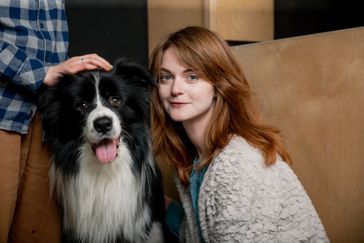 Бордер колли Эри