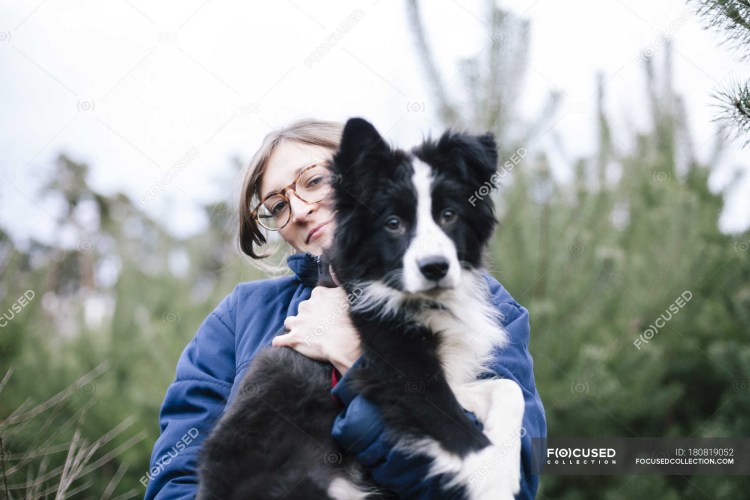 Бордер колли с человеком