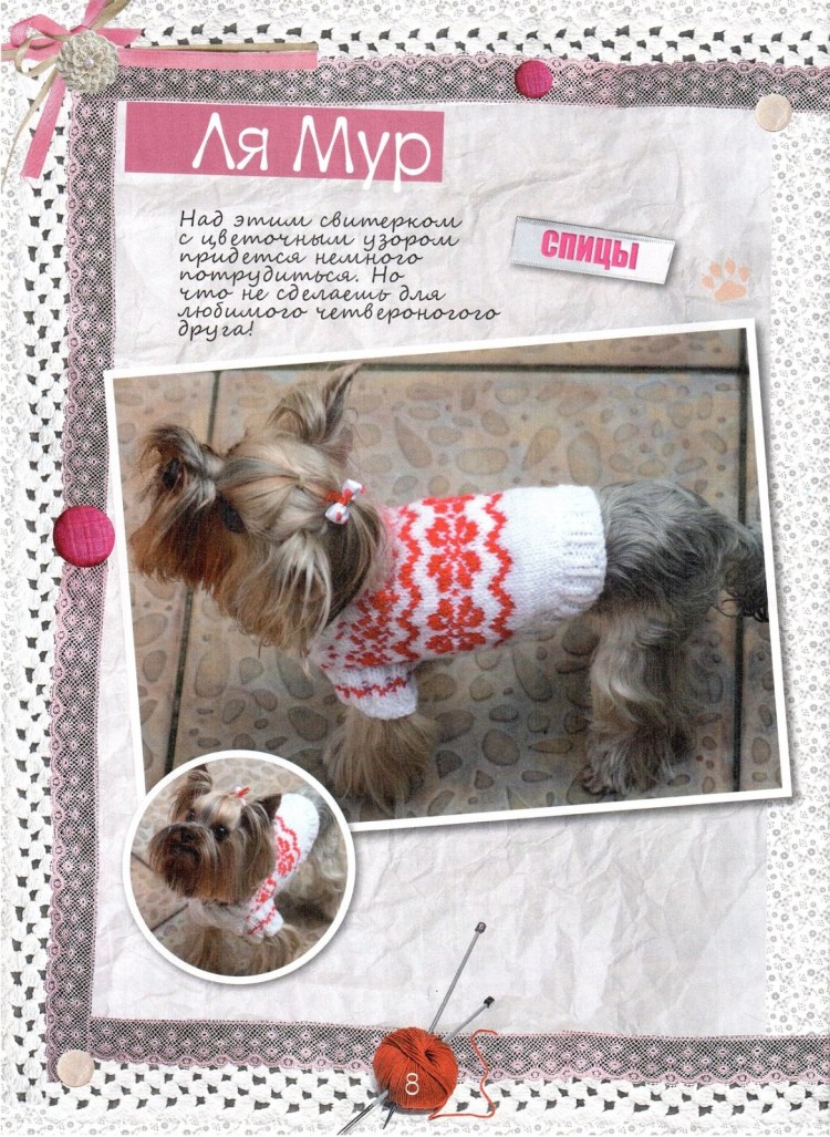 Вяжем для маленьких собак спицами с описанием и схемами