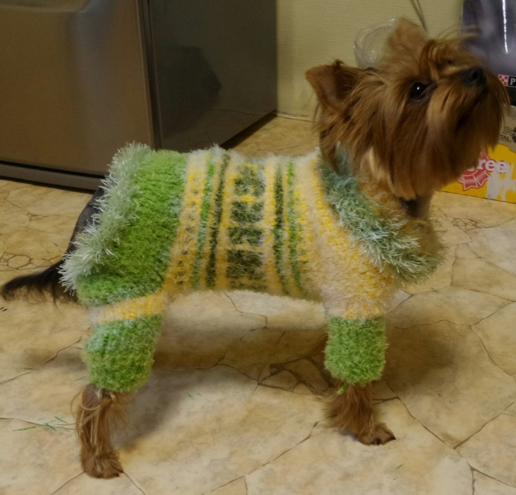 Одежда для собак мелких пород выкройки вязания