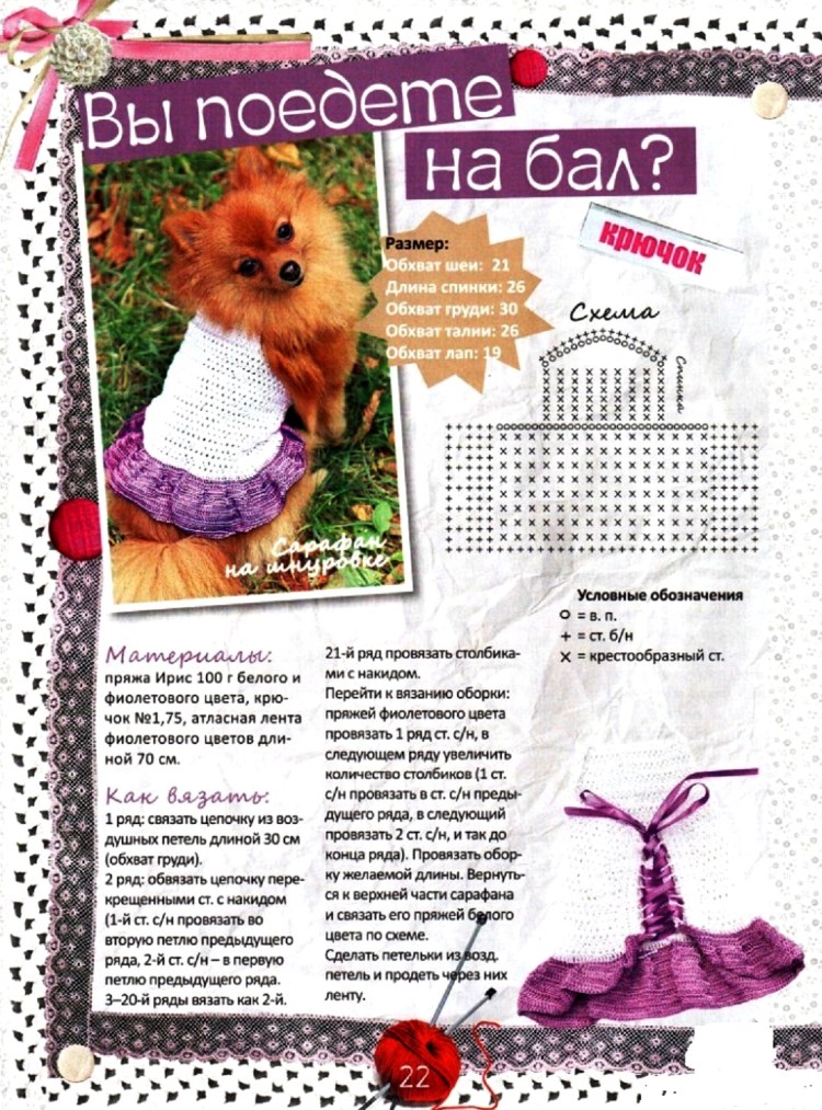 Вязаные костюмы для собак Йорк