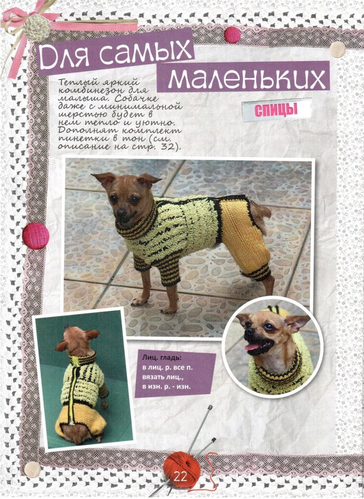 Вязание попоны для МОПСА