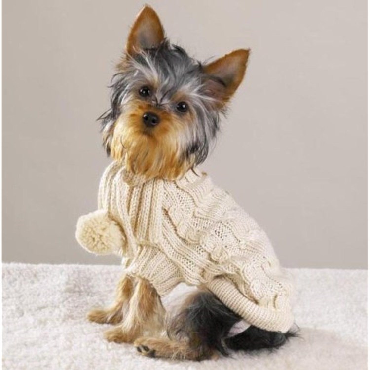 Вязаная одежда для собак