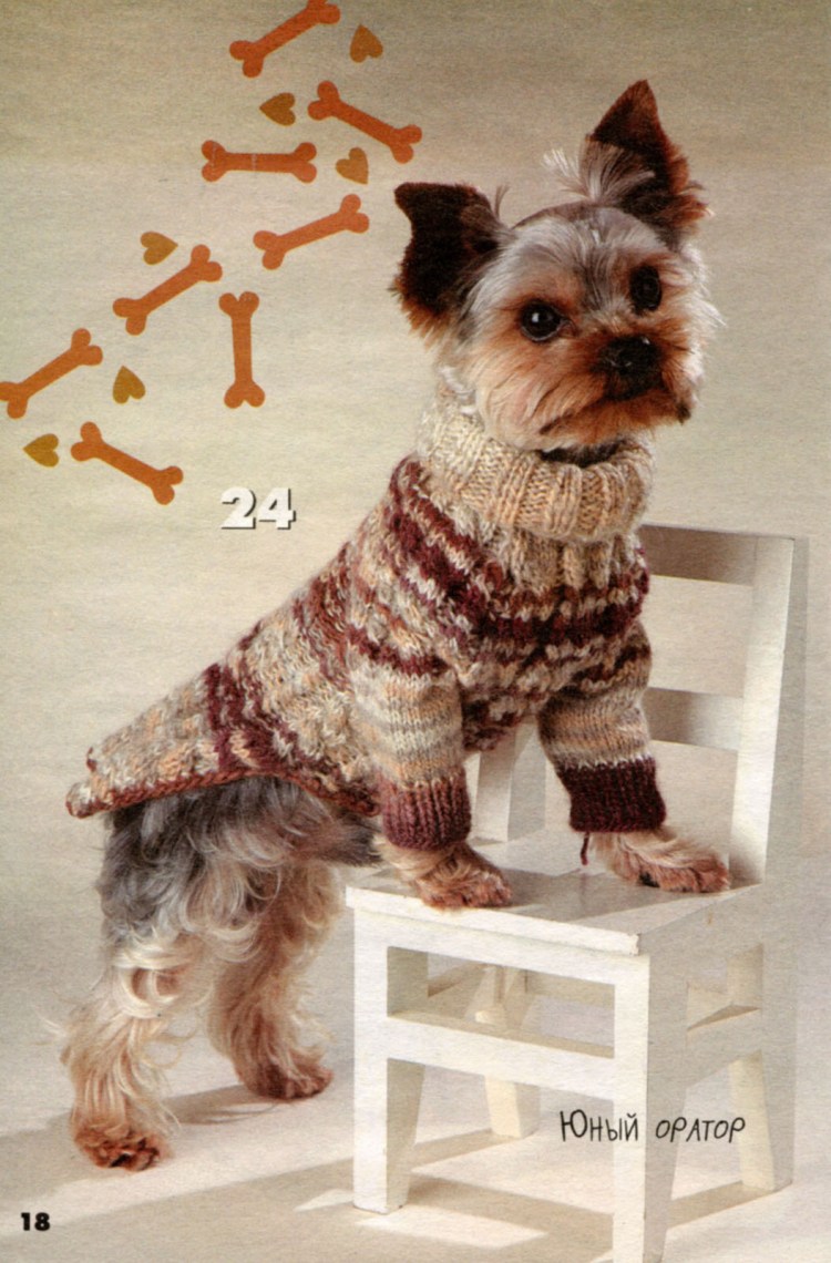 Вязаная одежда для йорков мальчиков