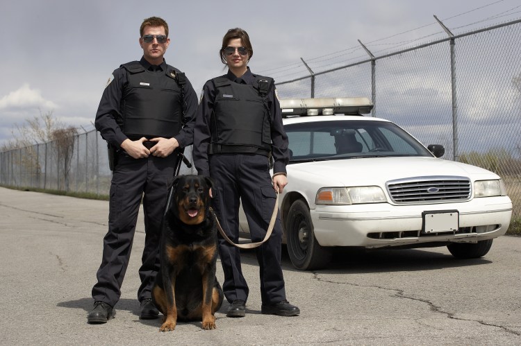 Доберман секьюрити