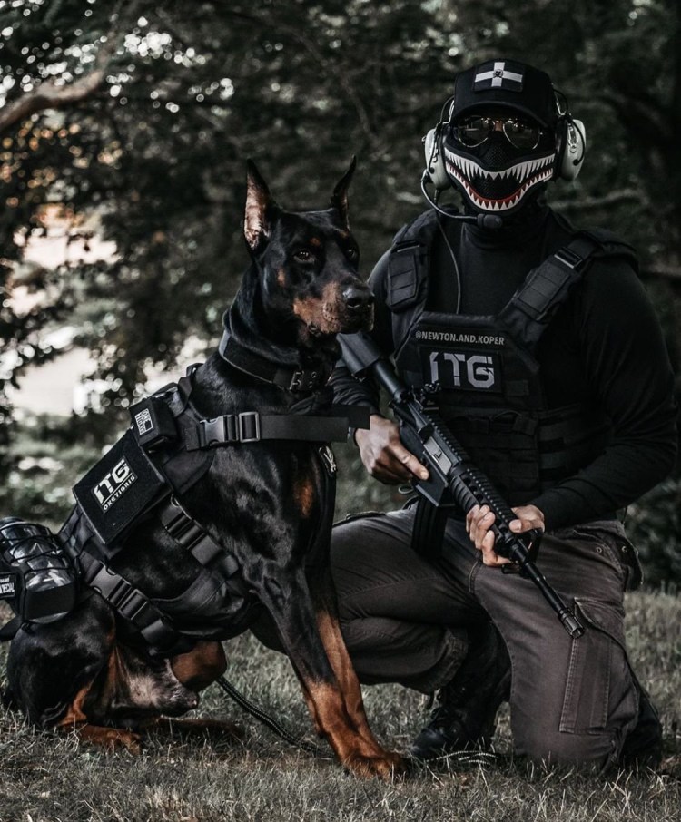 Полицейские собаки Доберманы