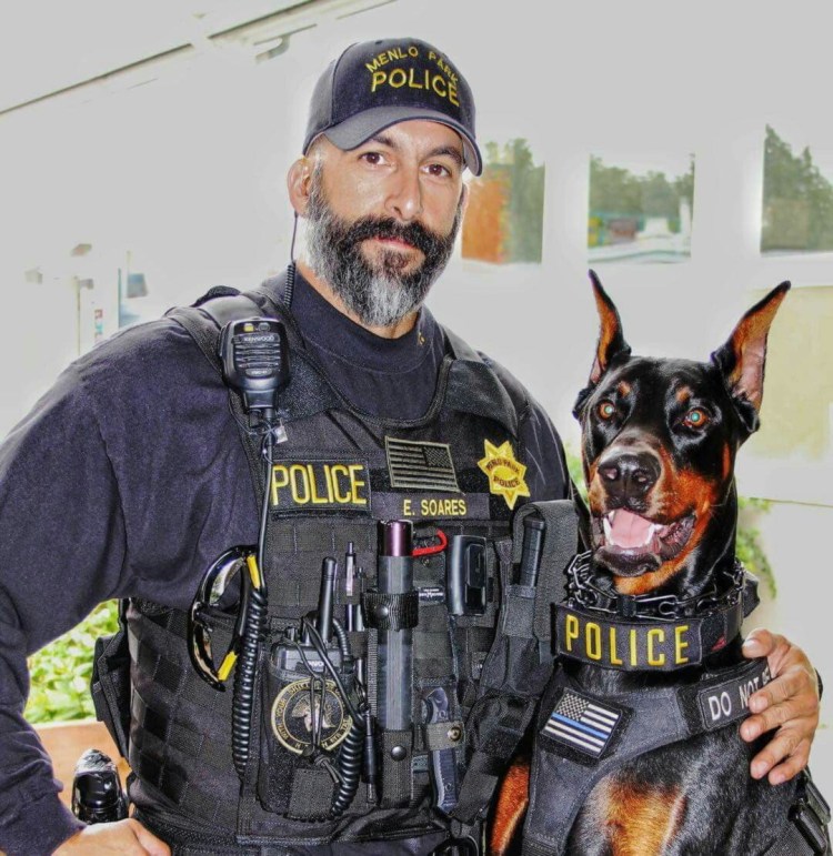 Полицейские собаки Доберманы