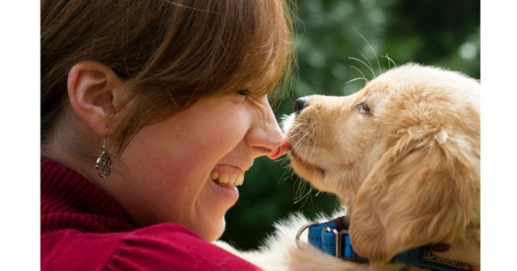 Собака целует человека