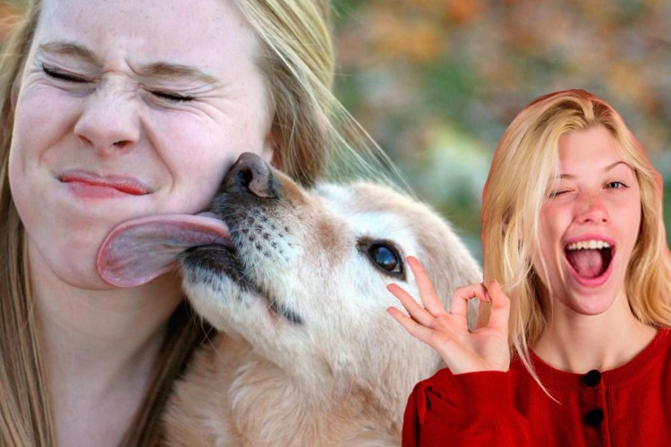 Собака лижет лицо человека