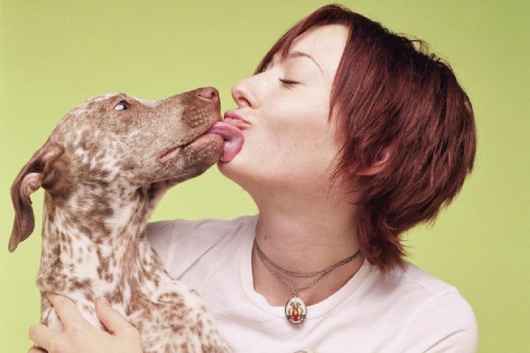 Всемирный день поцелуя собака