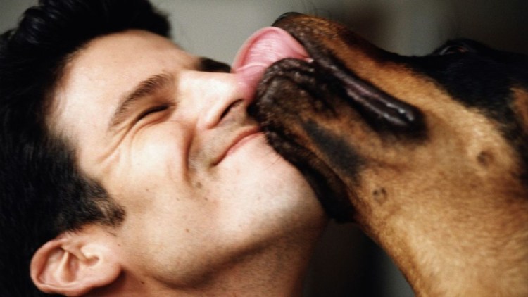 Парень целует собаку