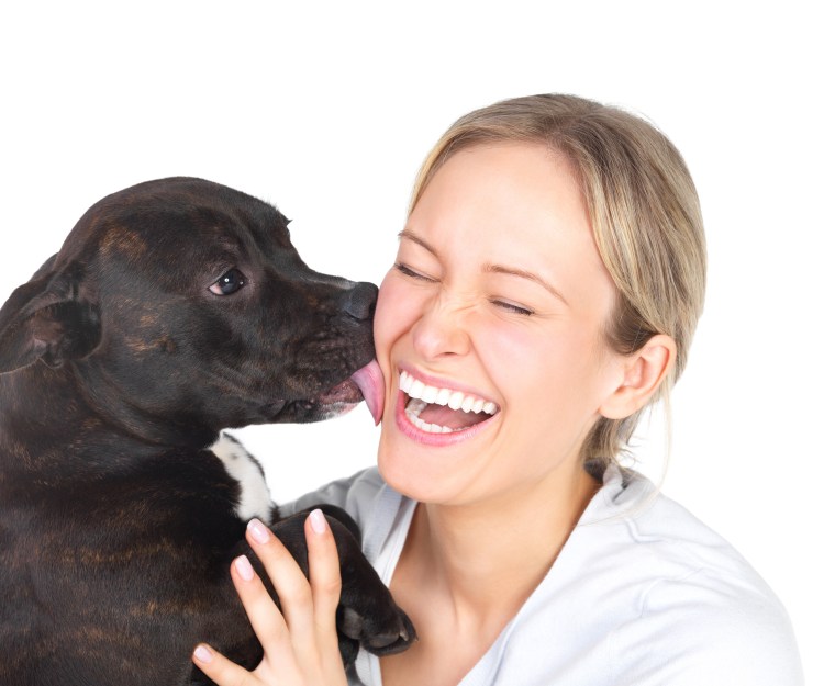 Собака передает бумагу