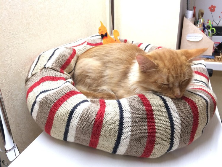 Лежанка для кошки своими руками