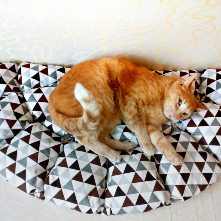 Коврик пэчворк кот