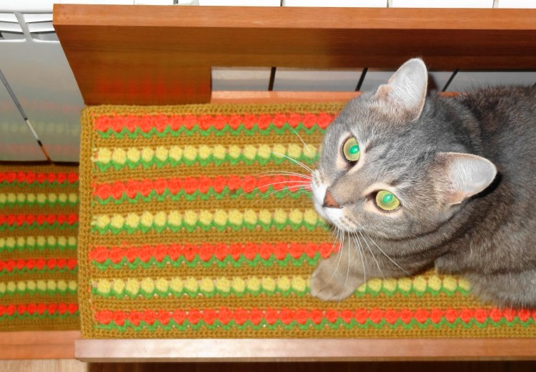 Вязаные коврики для кошек