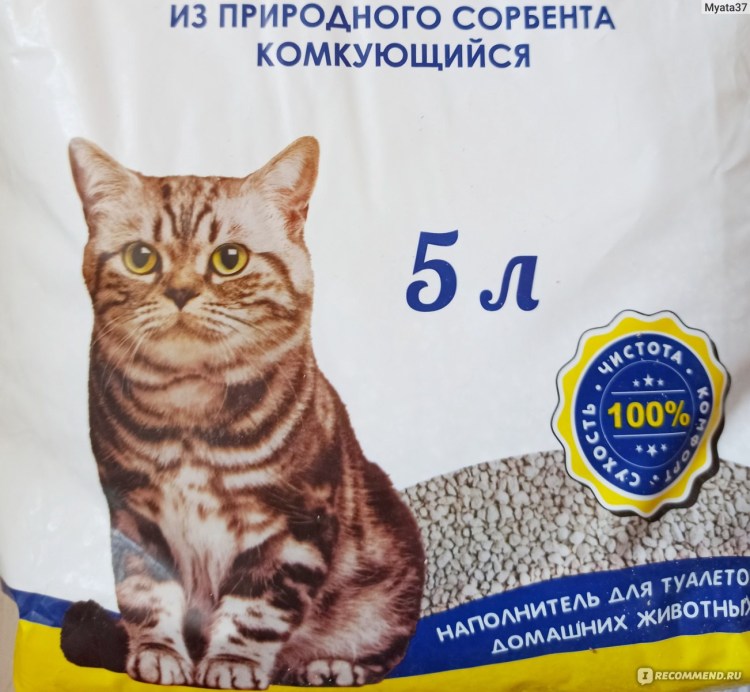 Наполнитель светофор