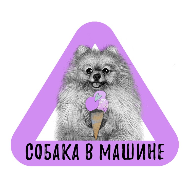 Шпиц в костюме